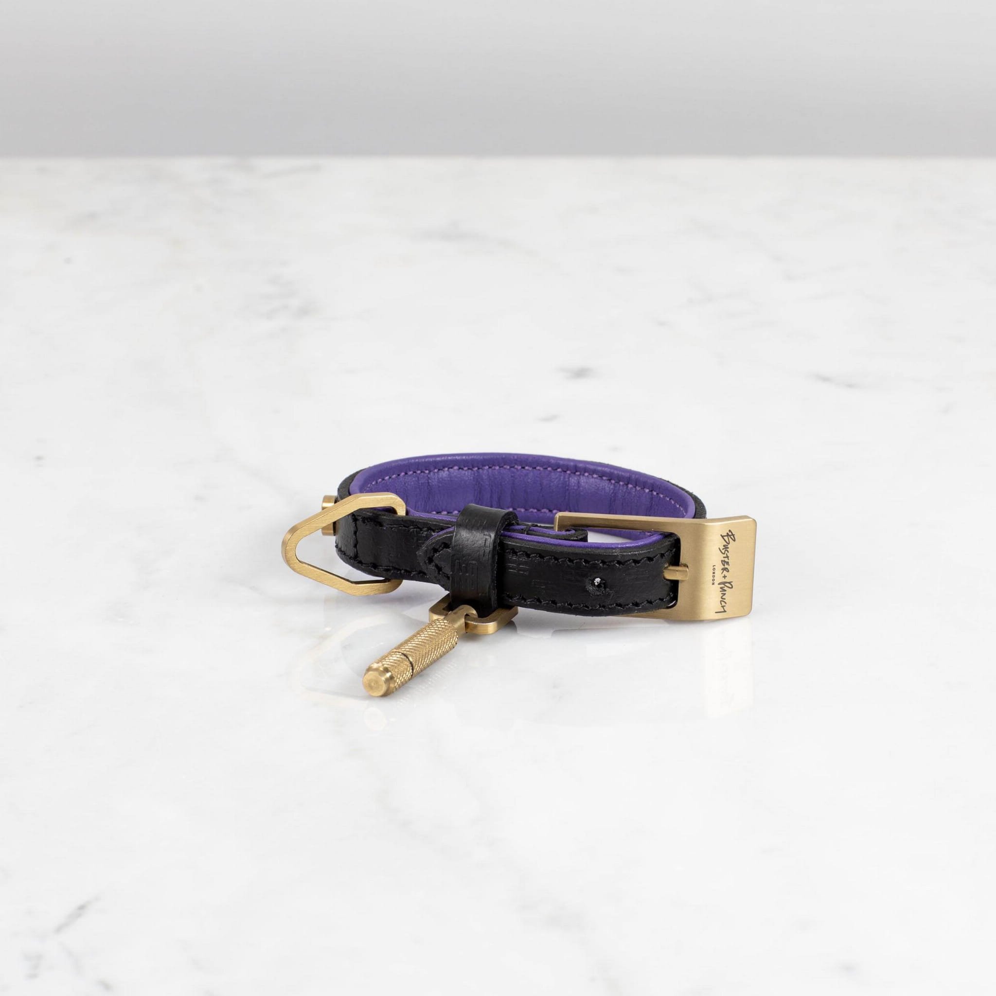 Hundhalsband XS Läder Guld